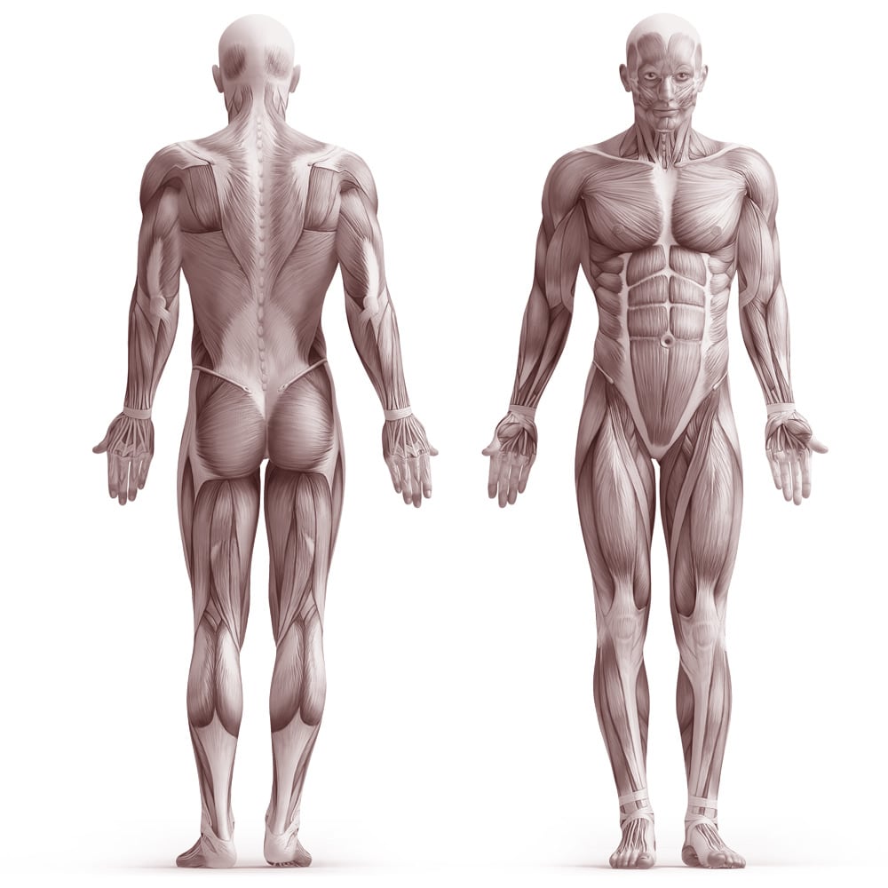 Regenexx Pain Map